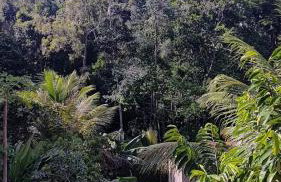 Goiabeira Village - Foto 22