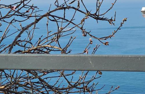 Ionian Balcony - Foto 12