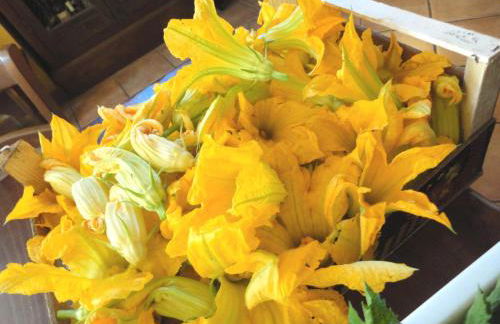 Tenuta Montelaura - Foto 34