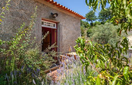Casa do Eido - sustainable living & nature experiences Gerês - Foto 30