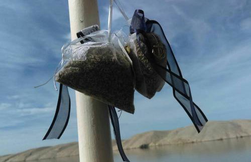 Summer House Hacienda, Pag - Miškovići - Foto 45