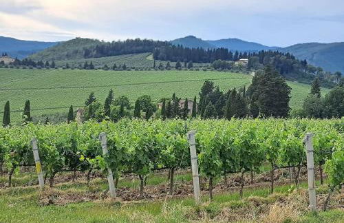 Appartamento Puccini - Zona Firenze - Foto 23