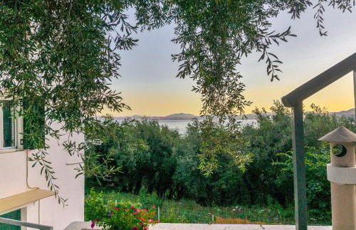 Lemon Tree House - Foto 4