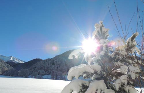 Residence Alpina - Foto 50