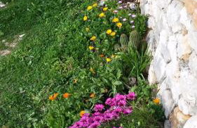 Holiday Home Rubinić - Foto 53