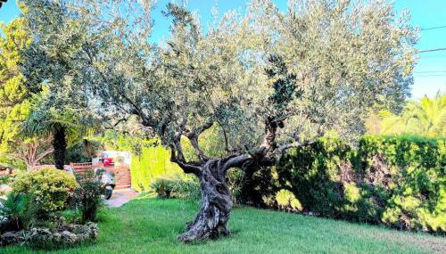 Villa Sigalero con jardín y barbacoa en Benicàssim - Photo 5