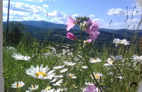 Townhouse W Private Deck & Mt View - Foto 57