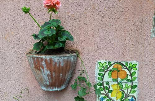 ANTICA CASA AL LAGO - Foto 16