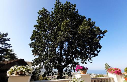 LA QUERCIA SUITES - taverna nel borgo medievale - Foto 32