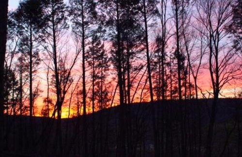 Rare River Views & Access, Cabin by Eden Islands - Foto 8