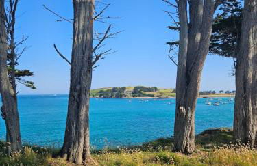 Studio neuf à proximité de Saint-Malo, à 2km des plus belles plages de la côte d'Emeraude - Foto 27
