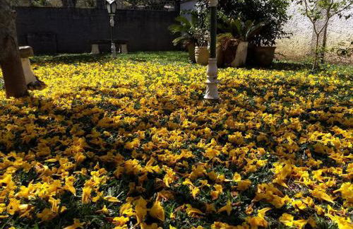 Espaço 579 - Foto 23