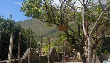 Nonna Maria B&B Home restaurant - Foto 4