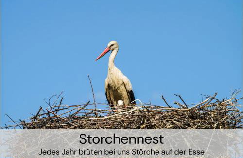 HexenburgbeiDresden mit Faßsauna Stylishes Designerappartement mit Schlafsofa, Terrasse - Nähe Sächsische Schweiz Dresden - Foto 26