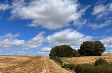 The Honeysuckle Coop - Foto 62