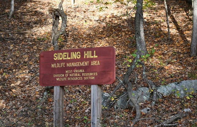 Seventh Heaven - Heavenly Retreat - Foto 47