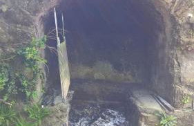 La Figalie - Foto 20