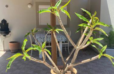 Manousos Guest House - Photo 5