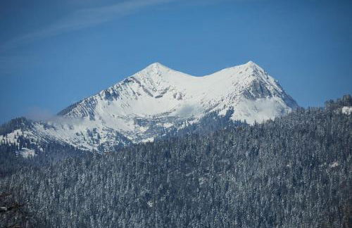 Ferienwohnung zum Hirschgarten - Foto 16