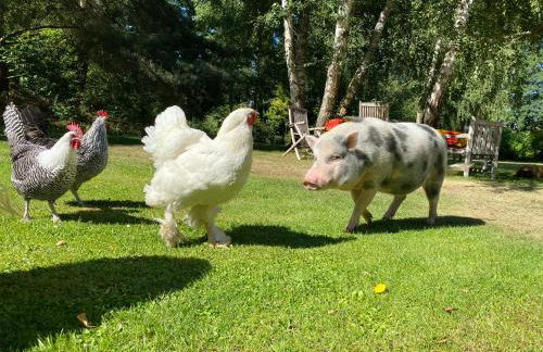 Villa Kersdorf - Foto 31