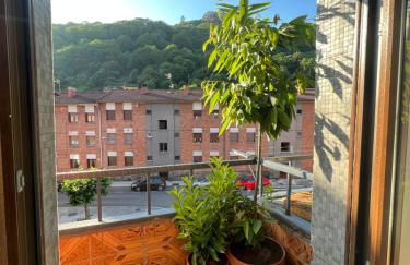 Mountain View Apartment - Foto 10