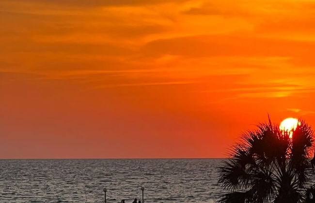 Beach Cottage 1212 in Indian Shores - Photo 20