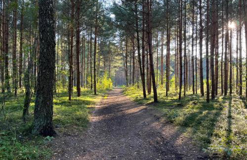 Domki Zalesie - Foto 44