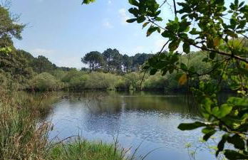 Beautiful 3 rooms with terrace near the ocean - Foto 16