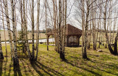 Wilkiejmy wieś ma wzgórzu - Foto 76