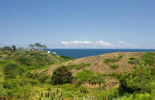 La Jolla Lookout - Foto 11