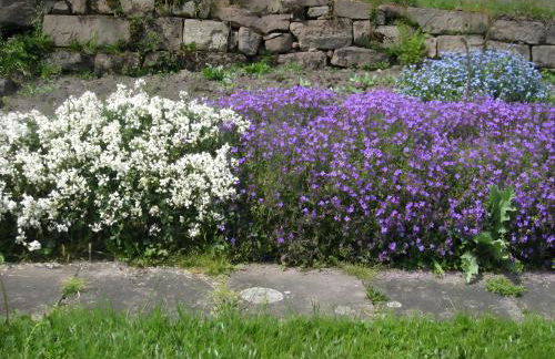 Haus Mühlgrund - Foto 11