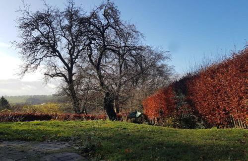 Belka am Rursee - Foto 17