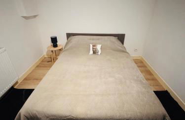 T3 Ancenis Saint Gereon - Foto 15