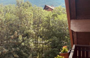 mansardacourmayeur - Foto 13