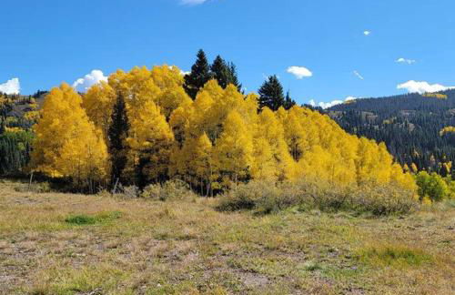 Outlaw Cache - Foto 19