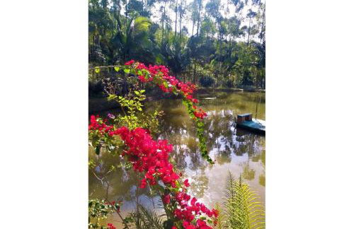 Sitio Libardo em Meio a Natureza - Nova Trento - Foto 22