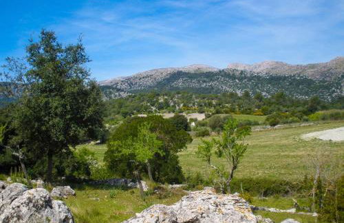 Can Company - Foto 45