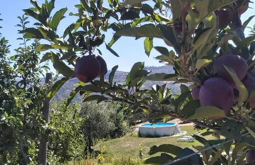 Casa do Feitor - Douro - Quinta da Cabrida - Foto 35