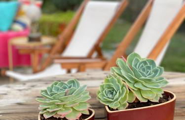 Quinta das Ameixas - Country & Nature - Foto 31