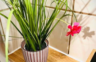 Ferienwohnung Eisenach - Kamin & Garten - Hunde willkommen - Foto 12