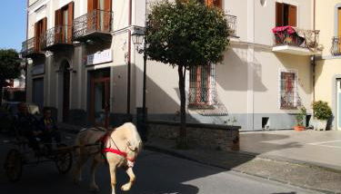 Casa Amelia - Foto 1