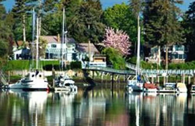 Salty Towers Oceanfront Cottages - Foto 43