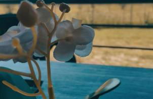 CASA QUERCU - Foto 26