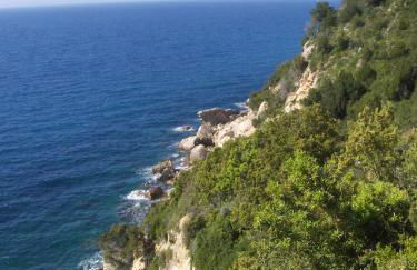 Cota Quinta - Foto 56