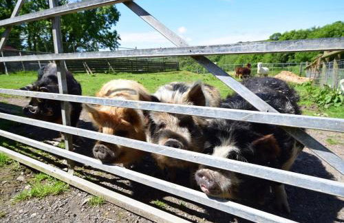 3 Bed in Ilfracombe oc-graic - Photo 21