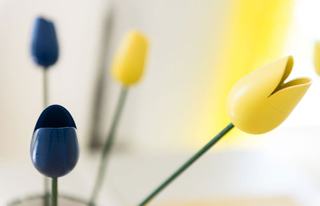 Apartments Šestanović - Foto 35