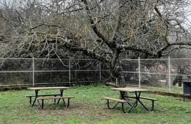 TIO TESORO - Foto 43