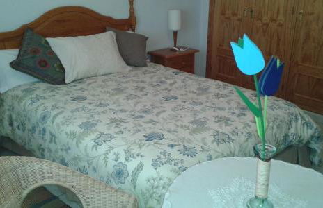 Apartamentos Rascafria Cerquilla - Foto 28