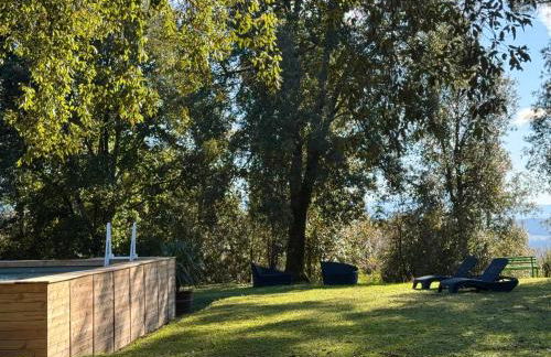 Casina nel Bosco - Foto 24