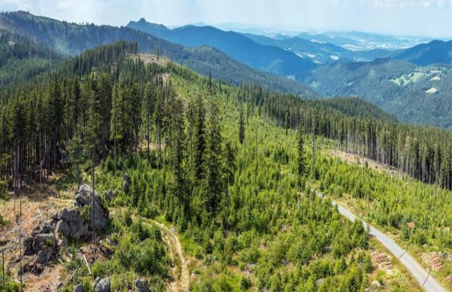 Quaint Holiday Home in Železná Ruda near Ski Area - Foto 36